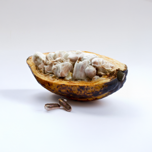 Cacao criollo fino de aroma colombiano